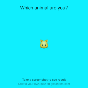 quiz animation gif