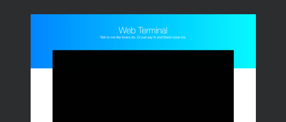 Web Terminal